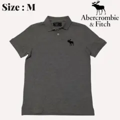 美品★Abercrombie & Fitch ポロシャツ グレー Mのサムネイル