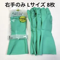 Item thumbnail for item eb2bc415-a4ff-4062-a34e-02ea1f859d12