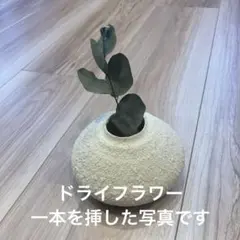 Item thumbnail for item adc5e4a2-0640-4893-92c6-b5d59433c0ec