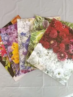 Item thumbnail for item 6a6d2c0a-9980-41d0-9fb0-f9ea341078c0