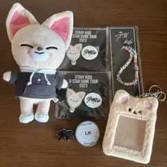 Straykids Foxl.Ny まとめ売り アイエン フォクシニー