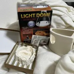 トカゲ爬虫類飼育セット