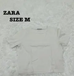 Item thumbnail for item ee9c28af-8e07-489f-8914-67abfccc6084