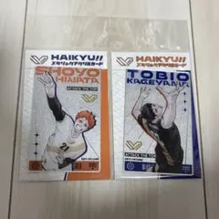 ハイキュー!! SVリーグ　メタリックアクリルカード　影山飛雄　日向翔陽
