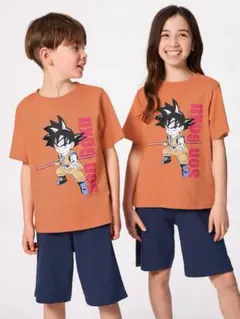 Item thumbnail for item 89ec3496-3472-4474-93af-44a577046e43