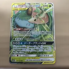 フシギバナ＆ツタージャGX RR SM11a リミックスバウト 001/064