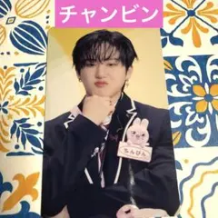 即購入可能❣️ straykids チャンビン　トイワールド　HMV特典　1枚