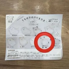 うちの子のけだまだま(黒柴) ⭐︎本日発送可能です⭐︎