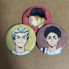 ハイキュー 東武動物公園コラボ 缶バッジ3個セット