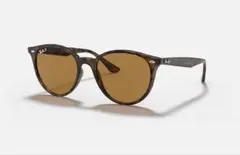 Ray-Banサングラス ブラウン偏光レンズ