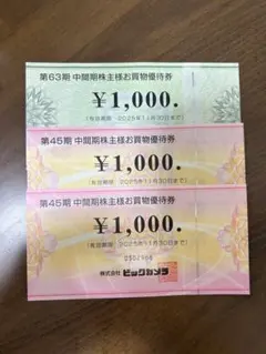 コジマ・ビックカメラ株主優待合計3000円分