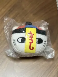 ナガノキャラクターズ もっちるフェイスマスコット　キョンシー