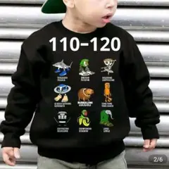 Item thumbnail for item c3a3dfa3-4385-4472-8a00-b73e4a47980e