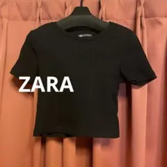 ミッドウェイト スリムフィット クルーネック クロップド丈 ショートスリーブ