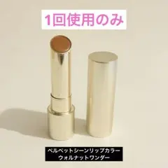RMK【ケース付き】　ベルベットシーンリップカラー