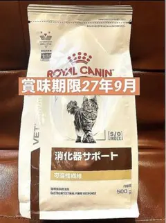 ロイヤルカナン猫消化器サポート可溶性繊維ドライ　500g賞味期限27年9月17日のサムネイル