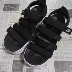 Item thumbnail for item 9b5ad52f-4227-4e78-b203-cbbccfdbed6f