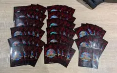 遊戯王5d's WCQ2011 スリーブ　72枚 2026年最新】wcq 2011の人気アイテム - メルカリ