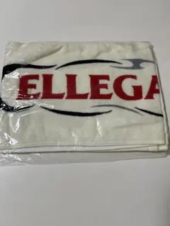 レア 新品未開封 ELLEGARDEN 2004年 スペースソニックツアータオル レア 新品未開封 ELLEGARDEN 2004年 スペースソニックツアー