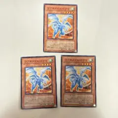 コアキメイルドラゴ