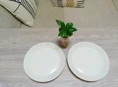 iittala　ティーマ 　21cm　白　2枚セットのサムネイル