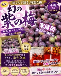 お得‼️希少品種‼️和歌山県産 紫の梅Mサイズ 2kg みかんキング - メルカリ