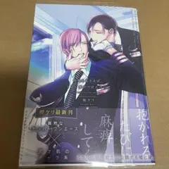 制服をまとえば、うまく嘘がつけたのに。 楔ケリ