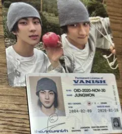 ENHYPEN THE SIN : VANISH ジョンウォン　トレカ