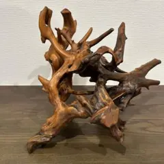 流木 インテリア装飾 自然な形状 約30cm