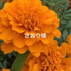 【お取り置き】さおり様