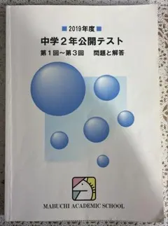 馬渕教室 公開テスト 中2 2021年 過去問 高校受験 書込みあり - メルカリ