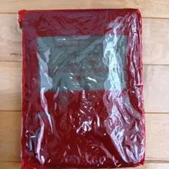 リンネル付録　2016年2月号　アデュートリステス　猫フラットポーチ＆ミニポーチ