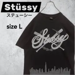 【希少】00s オールドステューシー NYC限定 ベースボールTシャツ Lサイズのサムネイル