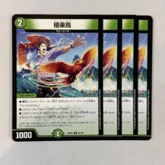 2026年最新】極楽鳥の人気アイテム - メルカリ