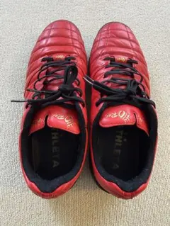 【25.0cm】 ATHLETA O-Rei Treinamento A005