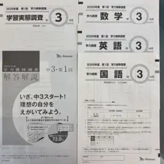 ベネッセ 学力推移調査 中3のサムネイル