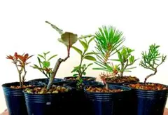 murata123様 リクエスト 4点 まとめ商品