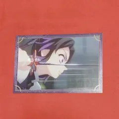 匿名配送 胡蝶しのぶ 鬼滅の刃 ポストカードコレクション ポストカード 無限城編