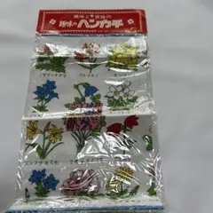 Item thumbnail for item 735a2e23-cdaa-453e-b71f-f767c3e0ad30