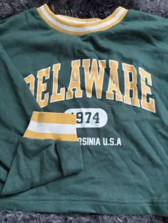 DELAWARE カレッジロゴ スウェット