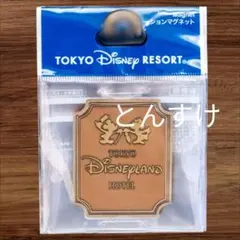 【新発売】デコレーションマグネット　ディズニーランドホテル