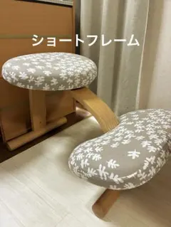 バランスチェア　balans Eazy バランスイージー　 ショートフレーム