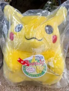 ポケットモンスター 30周年記念 おかえり！ピカチュウ1/1 ぬいぐるみ