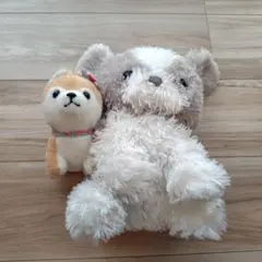 2026年最新】くったりシーズーの人気アイテム - メルカリ