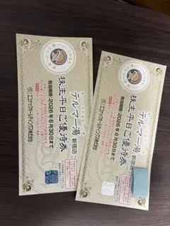 テルマー湯（エコナック）新宿 株主優待2枚【匿名配送・送料無料】のサムネイル