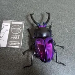 Item thumbnail for item 59767dff-3241-4ed8-abb8-87670b4dac26