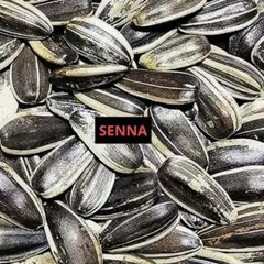 Item thumbnail for item 6717a539-522f-4ebf-bb36-fbf594d7ce19