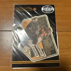 Item thumbnail for item 19ff561f-5342-4582-8c34-b28c1fe9989d