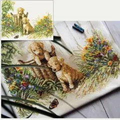 Item thumbnail for item abb623dc-d369-40fa-a9e5-9850e36a8e74