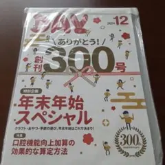 月刊DAY 2024年12月号 創刊300号